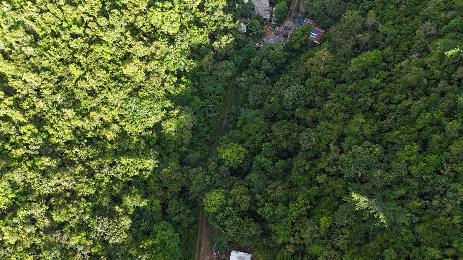 Sixth image of Part Of- Coopers Hill in Red Hills, St. Andrew, Jamaica - property is For Sale