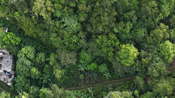 Seventh image of Part Of- Coopers Hill in Red Hills, St. Andrew, Jamaica - property is For Sale