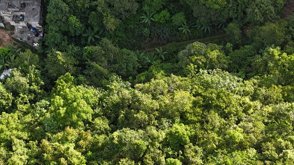 Eighth image of Part Of- Coopers Hill in Red Hills, St. Andrew, Jamaica - property is For Sale