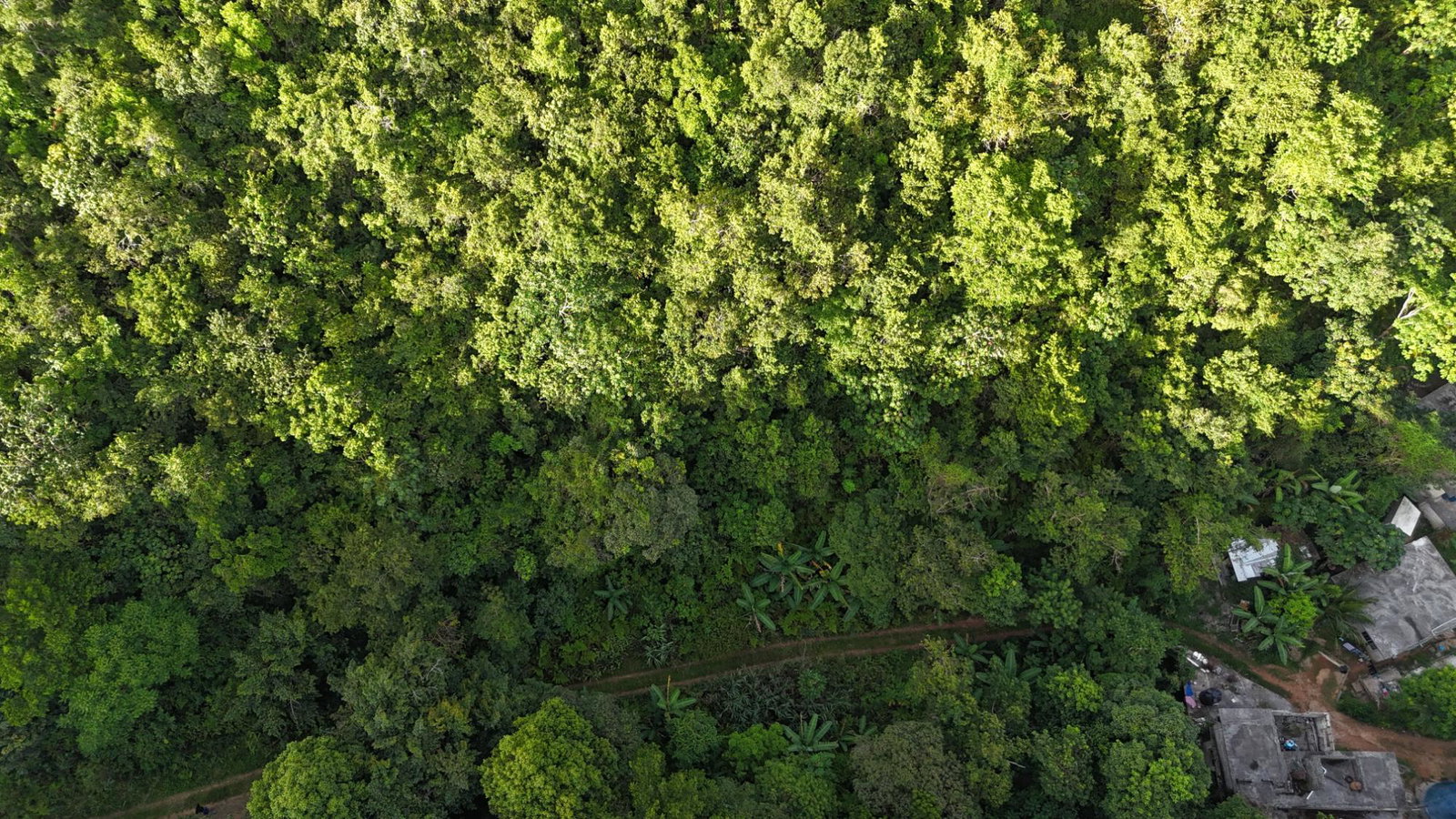 Ninth image of Part Of- Coopers Hill in Red Hills, St. Andrew, Jamaica - property is For Sale