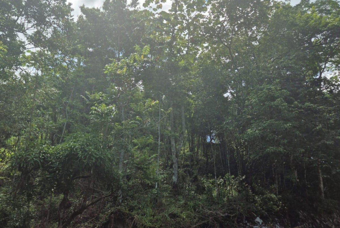 Second image of 9 Coopers Hill in Red Hills, St. Andrew, Jamaica - property is For Sale