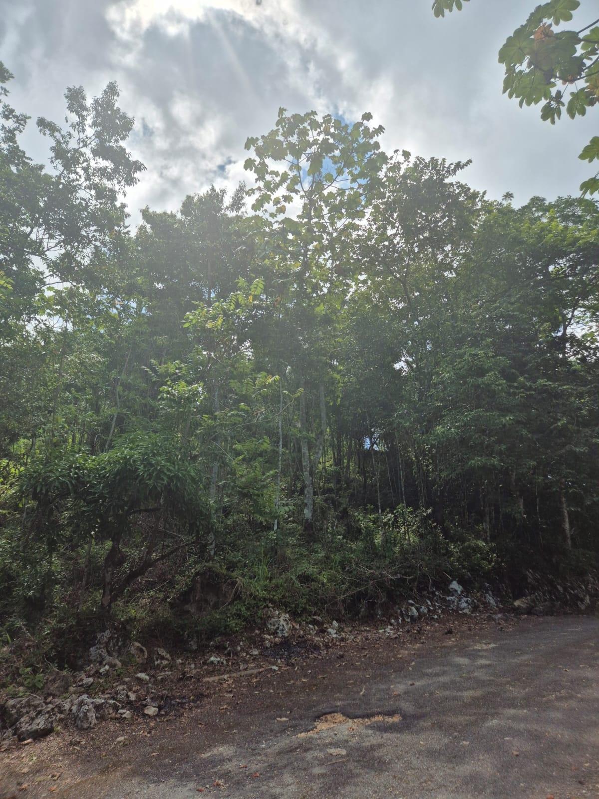 Residential-Lot-for-Sale-in-Coopers-Hill-St.-Andrew-–-17749-sq.-ft.-Build-Your-Dream-Home Second image of 9 Coopers Hill in Red Hills, St. Andrew, Jamaica - property is For Sale
