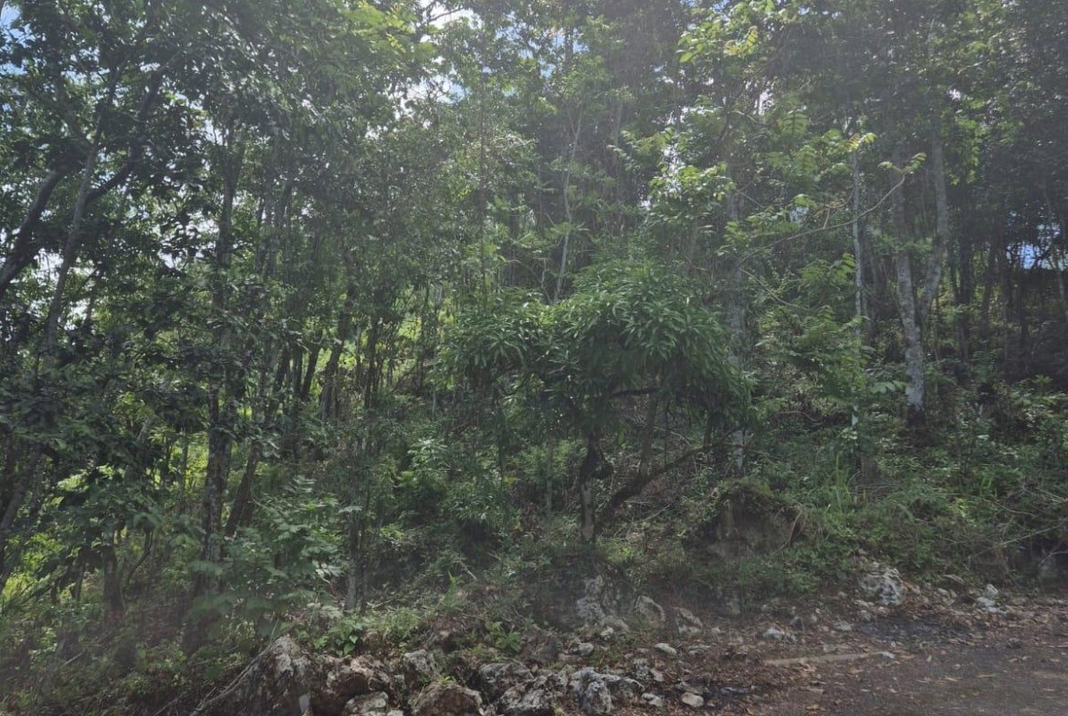 Third image of 9 Coopers Hill in Red Hills, St. Andrew, Jamaica - property is For Sale