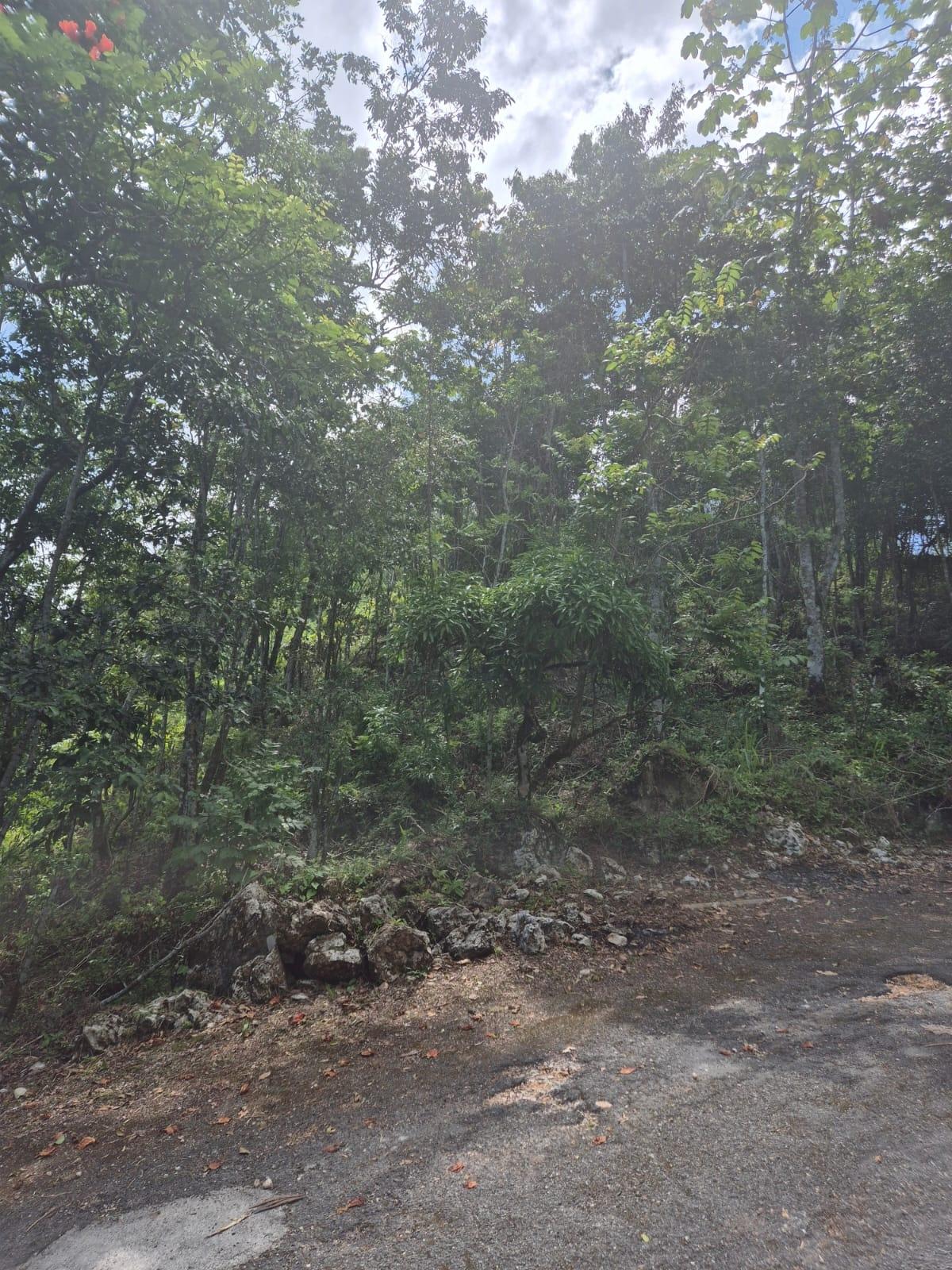 Residential-Lot-for-Sale-in-Coopers-Hill-St.-Andrew-–-17749-sq.-ft.-Build-Your-Dream-Home Third image of 9 Coopers Hill in Red Hills, St. Andrew, Jamaica - property is For Sale