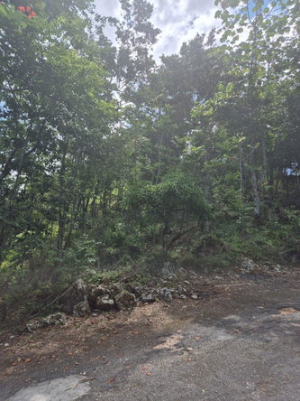 Third image of 9 Coopers Hill in Red Hills, St. Andrew, Jamaica - property is For Sale