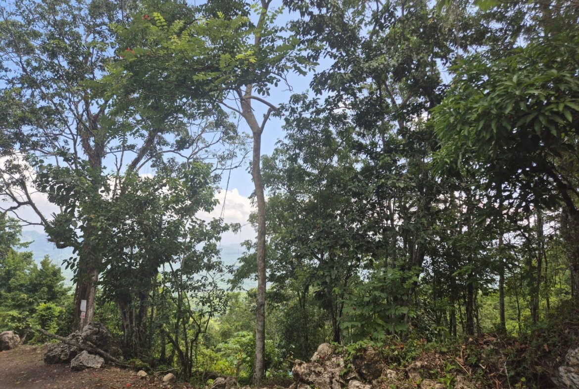 Sixth image of 9 Coopers Hill in Red Hills, St. Andrew, Jamaica - property is For Sale