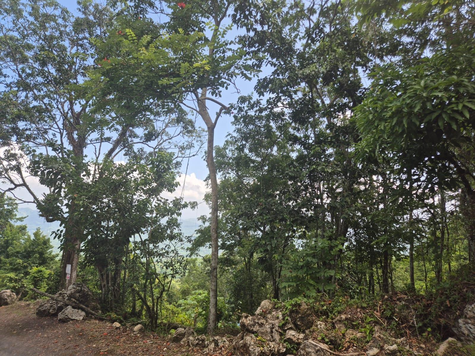 Residential-Lot-for-Sale-in-Coopers-Hill-St.-Andrew-–-17749-sq.-ft.-Build-Your-Dream-Home Sixth image of 9 Coopers Hill in Red Hills, St. Andrew, Jamaica - property is For Sale