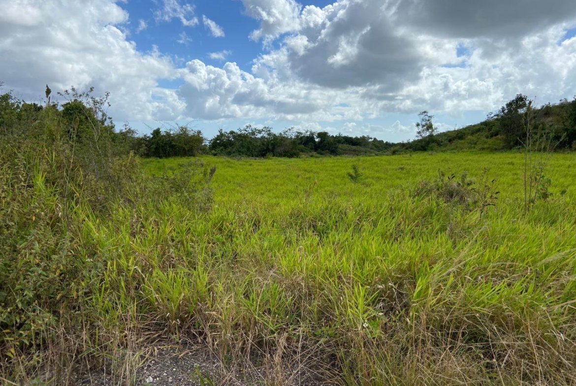 Second image of Lot 12- Wilson's Pen; Cross Keys in Cross Keys, Manchester, Jamaica - property is For Sale