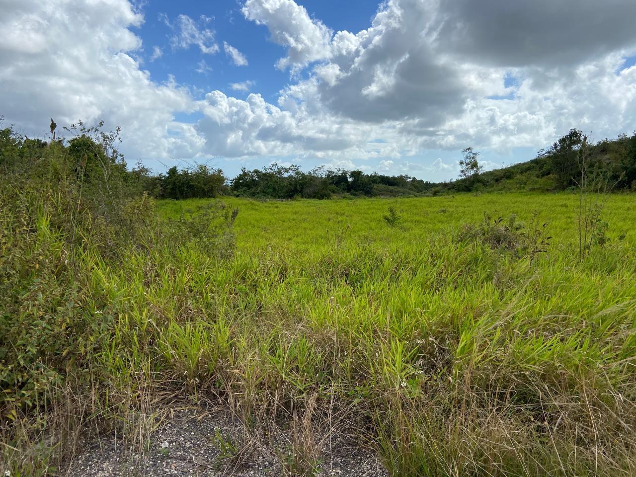 Second image of Lot 12- Wilson's Pen; Cross Keys in Cross Keys, Manchester, Jamaica - property is For Sale