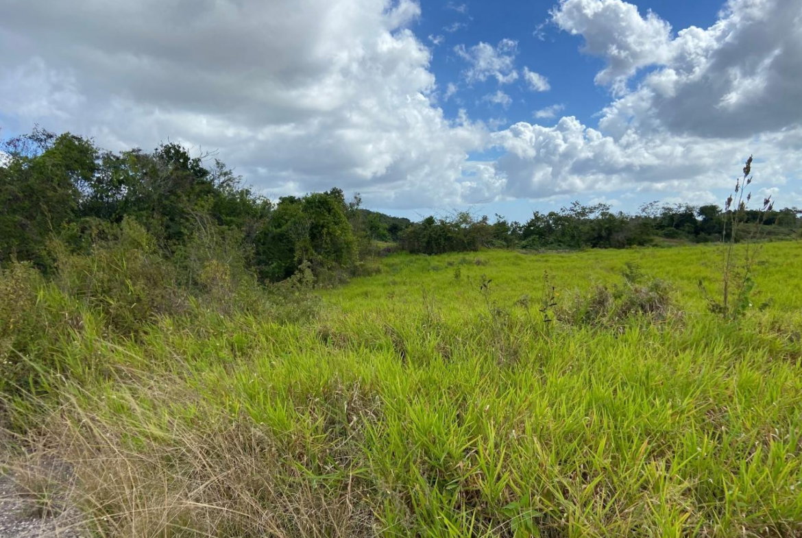 First image of Lot 12- Wilson's Pen; Cross Keys in Cross Keys, Manchester, Jamaica - property is For Sale