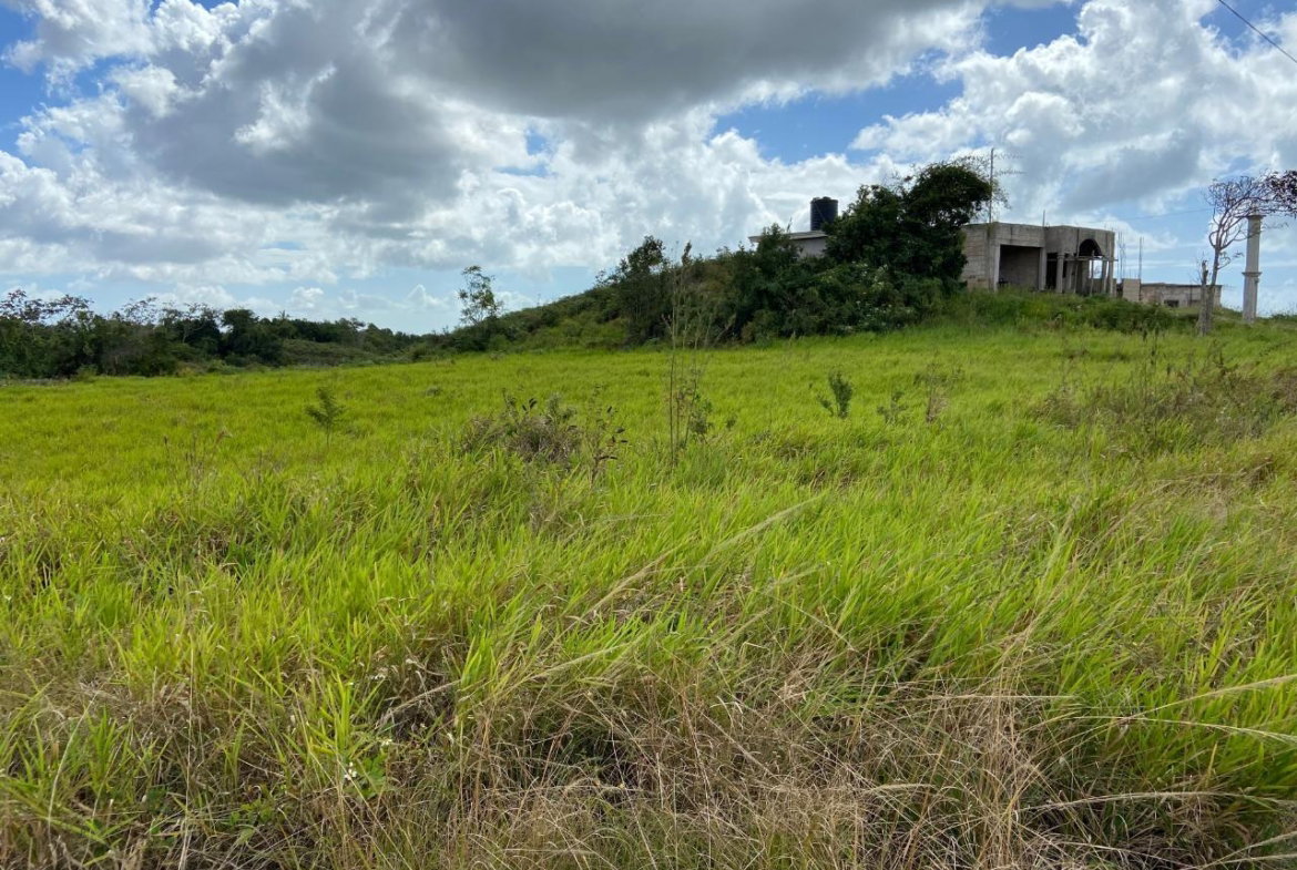 Fourth image of Lot 12- Wilson's Pen; Cross Keys in Cross Keys, Manchester, Jamaica - property is For Sale