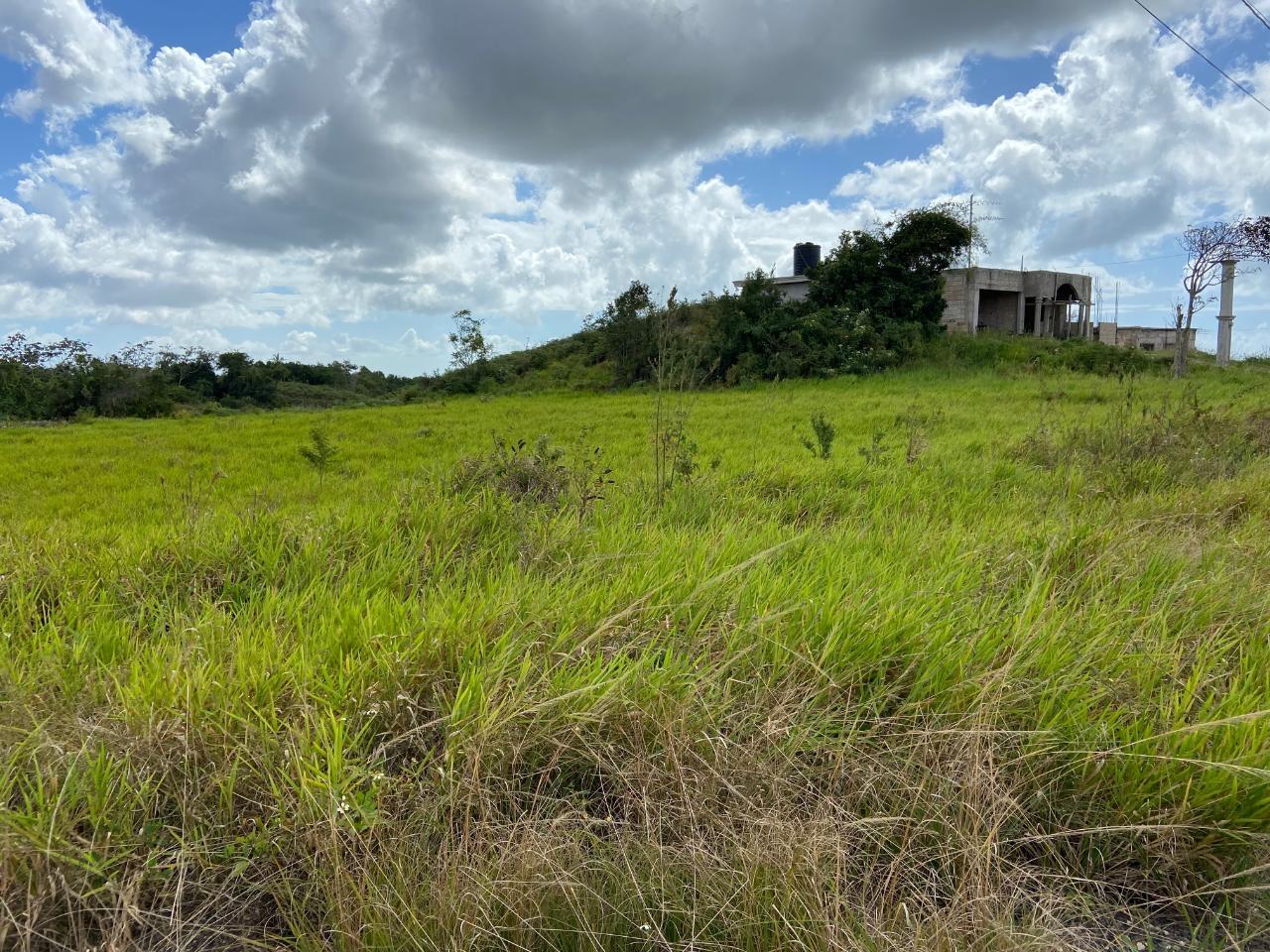 Fourth image of Lot 12- Wilson's Pen; Cross Keys in Cross Keys, Manchester, Jamaica - property is For Sale