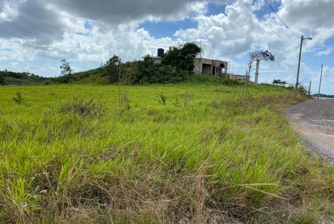 Fifth image of Lot 12- Wilson's Pen; Cross Keys in Cross Keys, Manchester, Jamaica - property is For Sale
