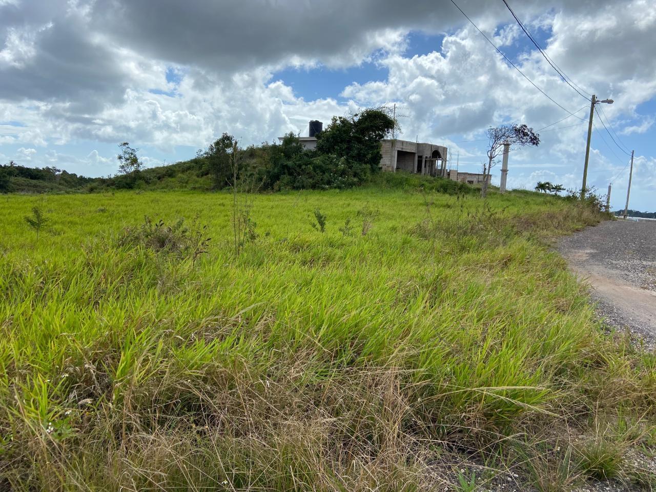 Fifth image of Lot 12- Wilson's Pen; Cross Keys in Cross Keys, Manchester, Jamaica - property is For Sale