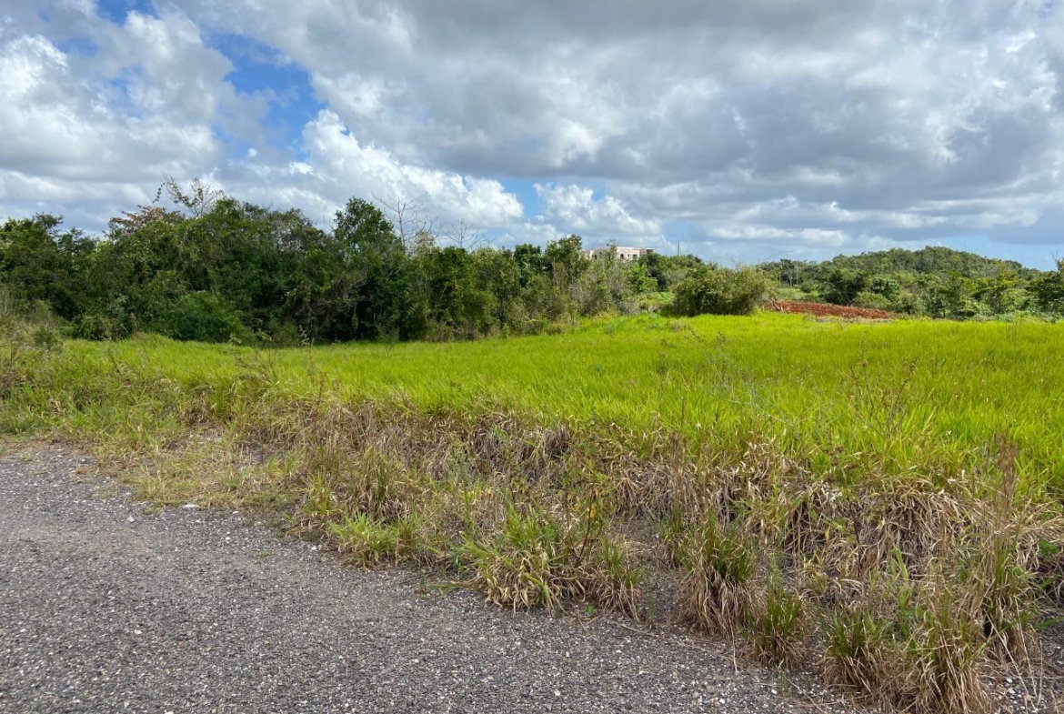 Sixth image of Lot 12- Wilson's Pen; Cross Keys in Cross Keys, Manchester, Jamaica - property is For Sale