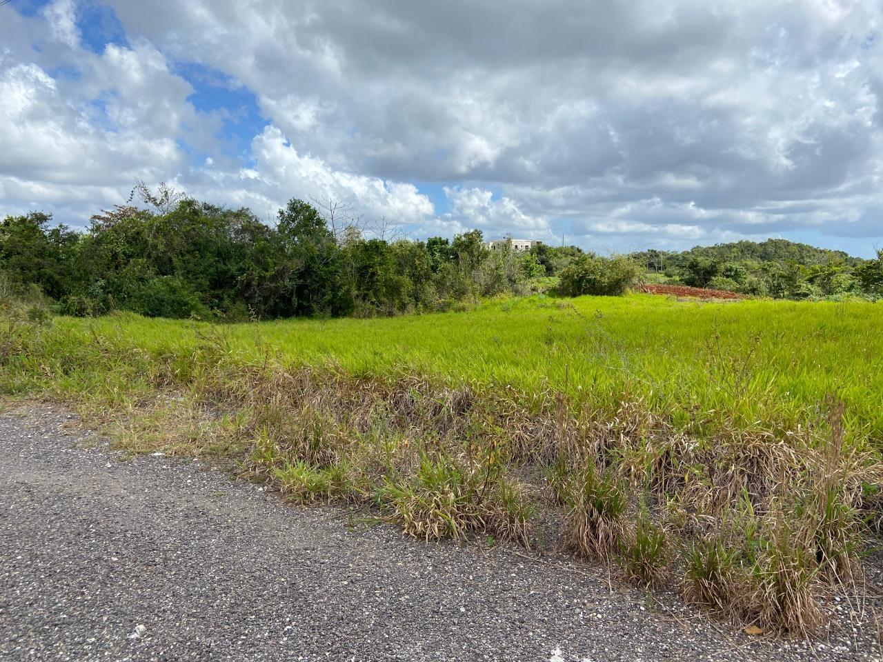 Sixth image of Lot 12- Wilson's Pen; Cross Keys in Cross Keys, Manchester, Jamaica - property is For Sale