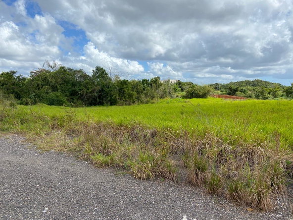 Sixth image of Lot 12- Wilson's Pen; Cross Keys in Cross Keys, Manchester, Jamaica - property is For Sale