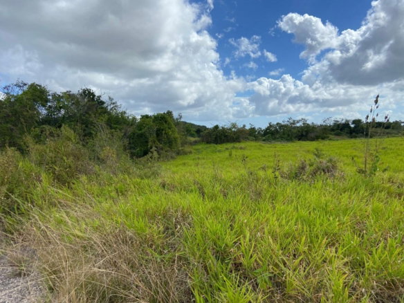 First image of Lot 12- Wilson's Pen; Cross Keys in Cross Keys, Manchester, Jamaica - property is For Sale