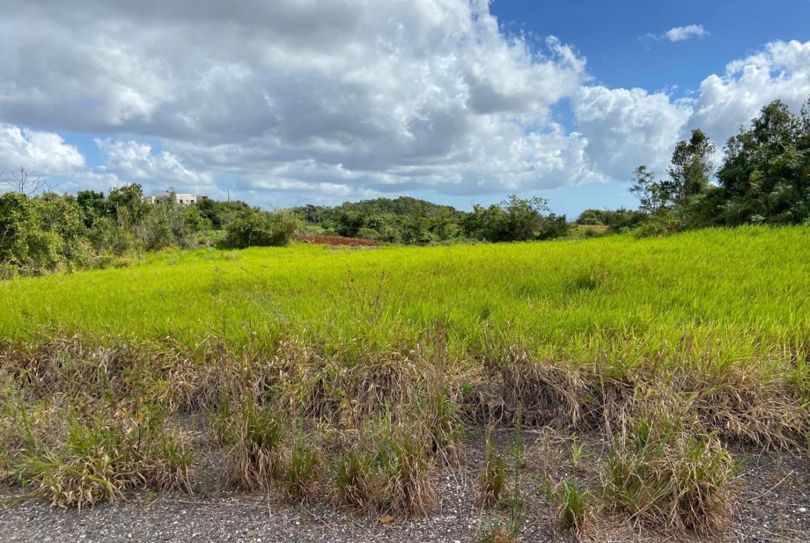 Seventh image of Lot 12- Wilson's Pen; Cross Keys in Cross Keys, Manchester, Jamaica - property is For Sale