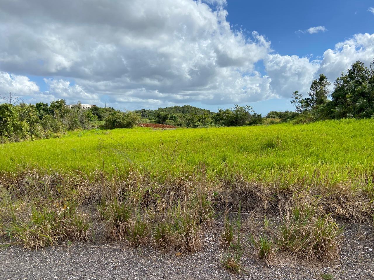 Seventh image of Lot 12- Wilson's Pen; Cross Keys in Cross Keys, Manchester, Jamaica - property is For Sale