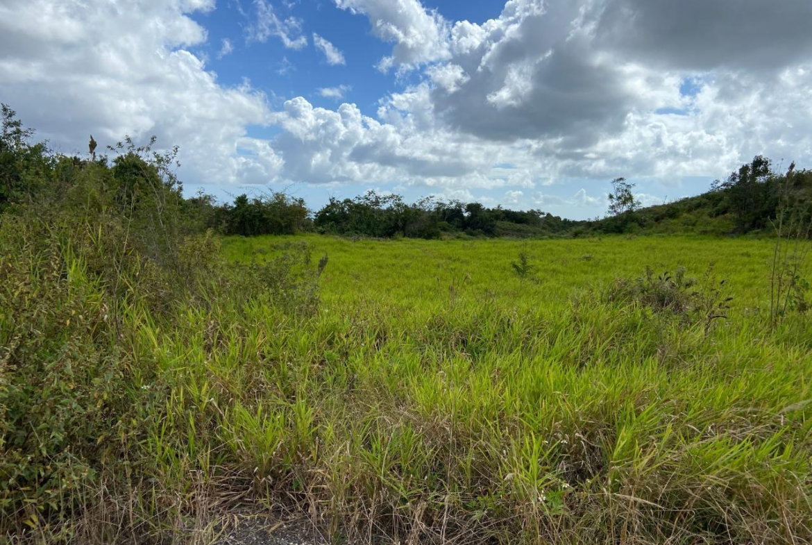 Eighth image of Lot 12- Wilson's Pen; Cross Keys in Cross Keys, Manchester, Jamaica - property is For Sale