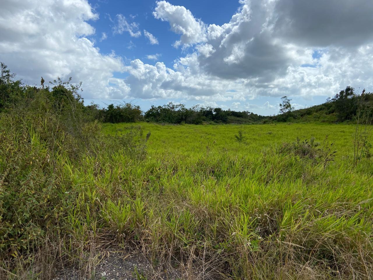 Eighth image of Lot 12- Wilson's Pen; Cross Keys in Cross Keys, Manchester, Jamaica - property is For Sale