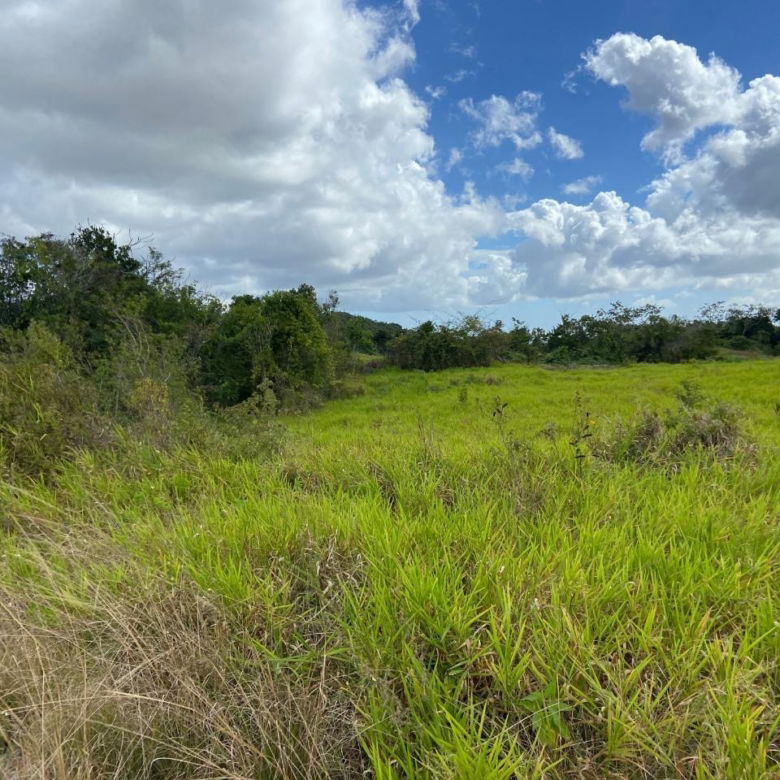 First image of Lot 12- Wilson's Pen; Cross Keys in Cross Keys, Manchester, Jamaica - property is For Sale