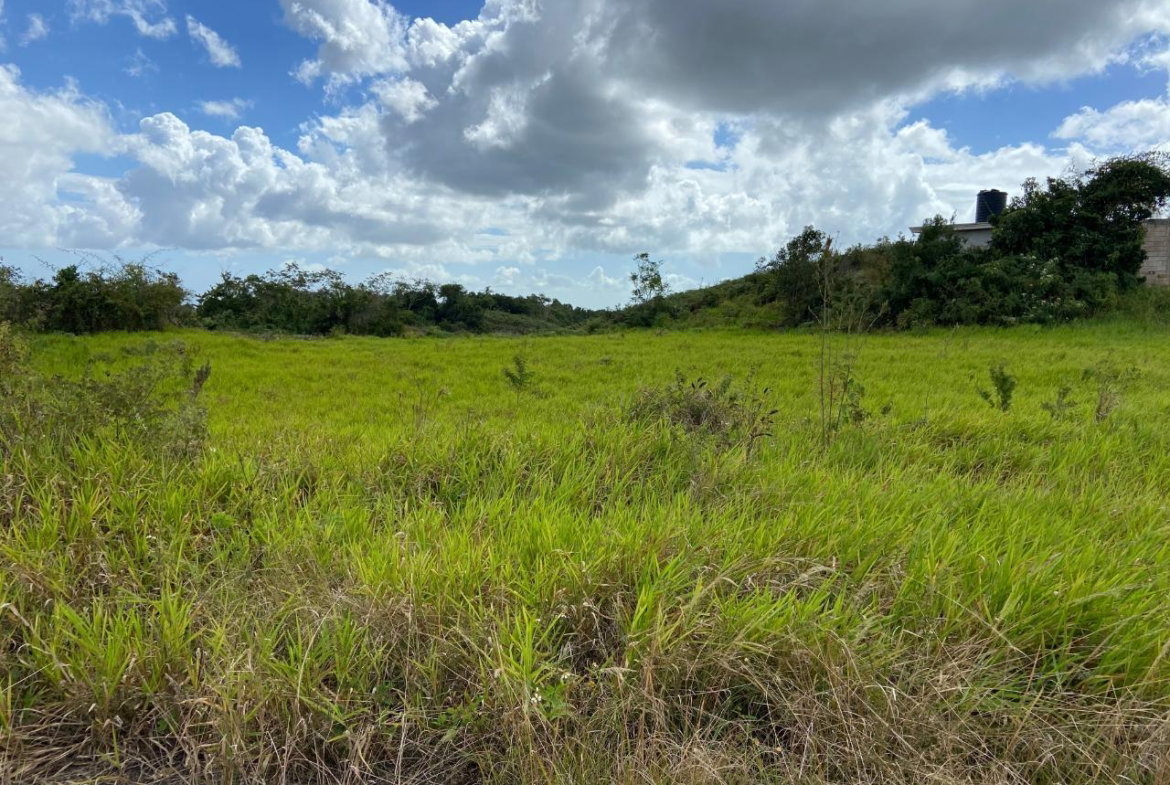 Ninth image of Lot 12- Wilson's Pen; Cross Keys in Cross Keys, Manchester, Jamaica - property is For Sale
