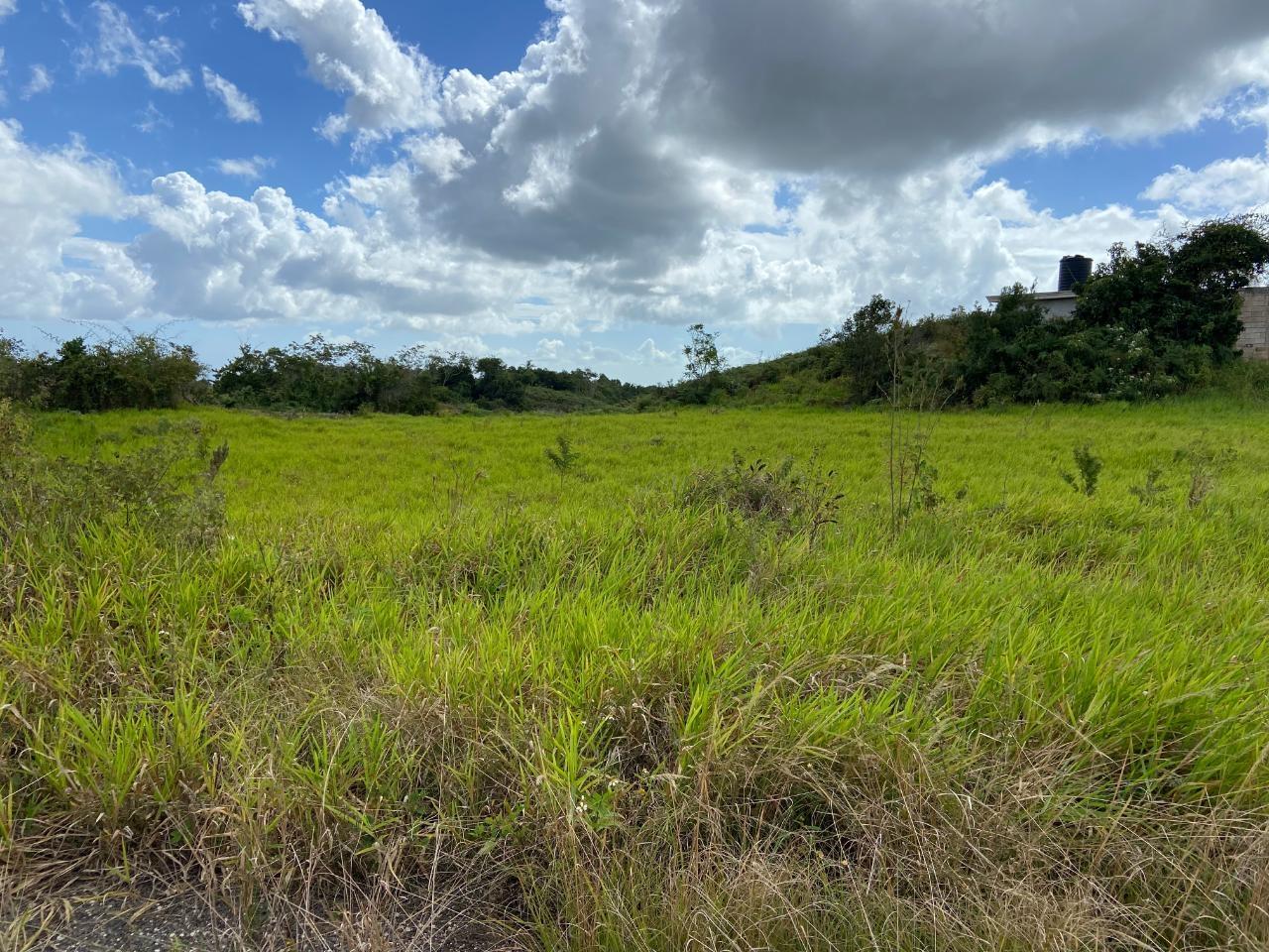 Ninth image of Lot 12- Wilson's Pen; Cross Keys in Cross Keys, Manchester, Jamaica - property is For Sale