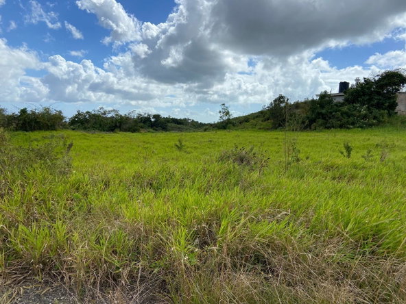 Ninth image of Lot 12- Wilson's Pen; Cross Keys in Cross Keys, Manchester, Jamaica - property is For Sale
