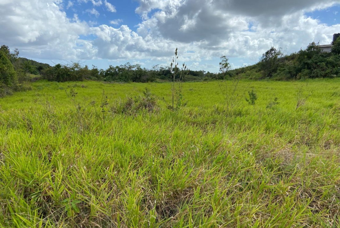 Tenth image of Lot 12- Wilson's Pen; Cross Keys in Cross Keys, Manchester, Jamaica - property is For Sale