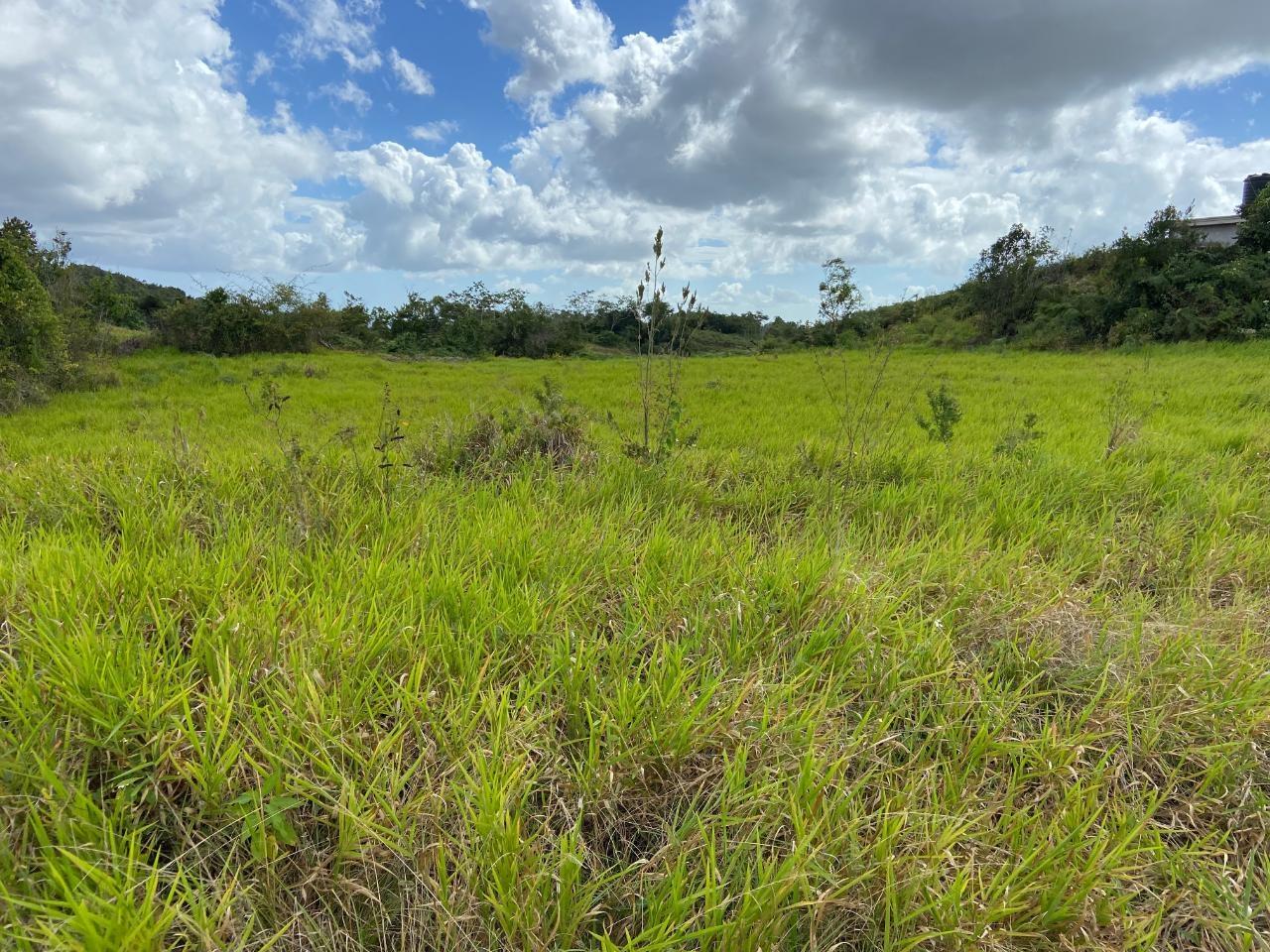 Tenth image of Lot 12- Wilson's Pen; Cross Keys in Cross Keys, Manchester, Jamaica - property is For Sale
