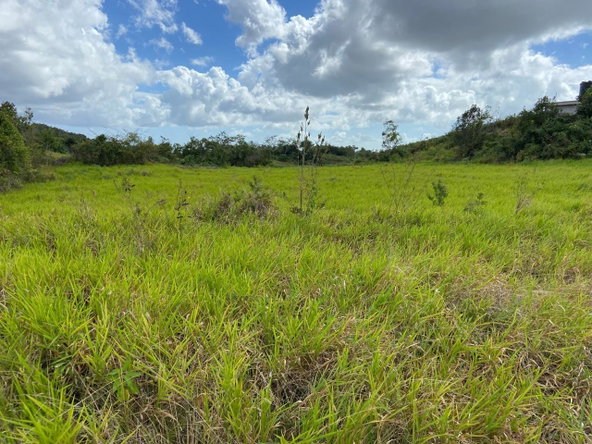 Tenth image of Lot 12- Wilson's Pen; Cross Keys in Cross Keys, Manchester, Jamaica - property is For Sale