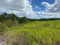 First image of Lot 12- Wilson's Pen; Cross Keys in Cross Keys, Manchester, Jamaica - property is For Sale