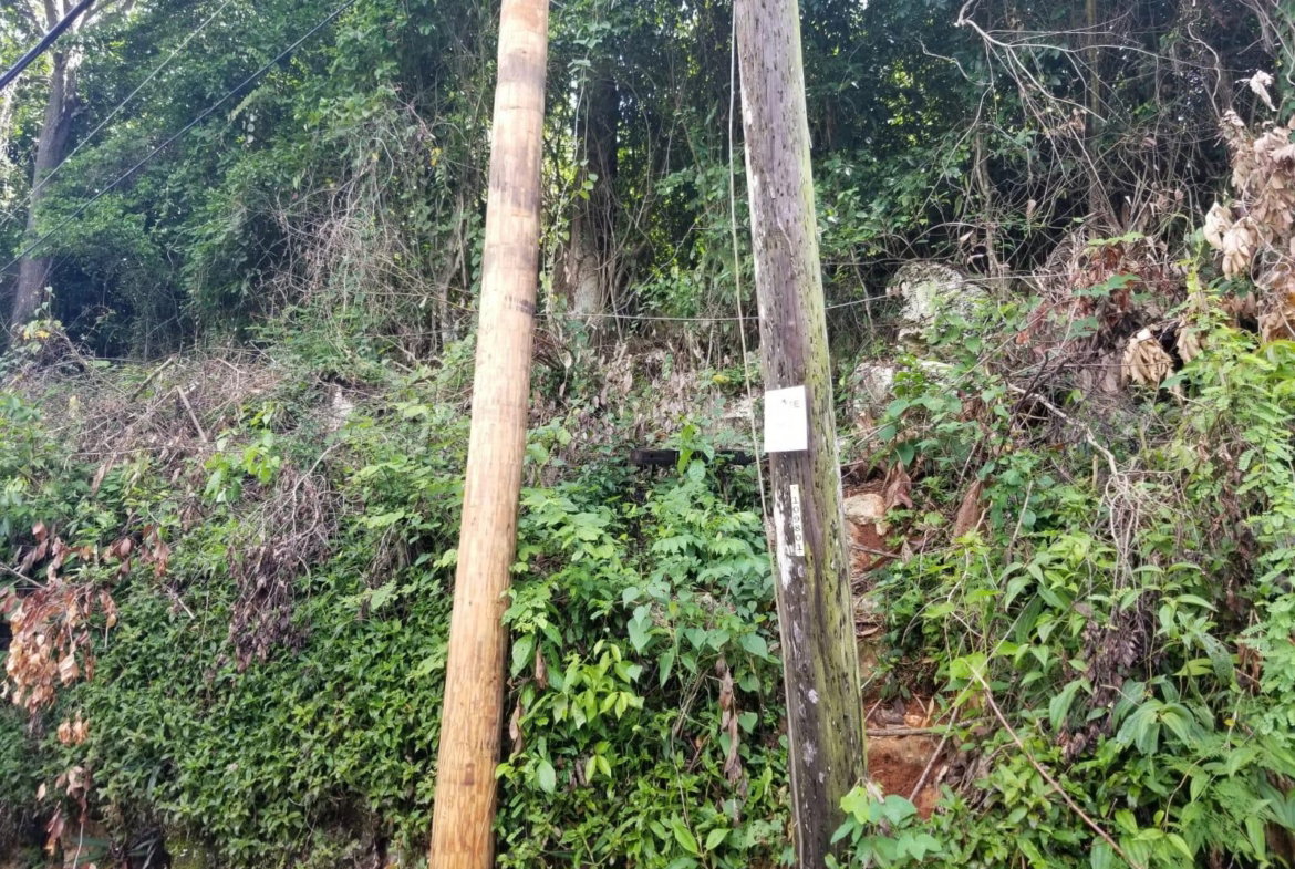 Second image of Lot 38- Kingston 9 in Kingston 9, St. Andrew, Jamaica - property is For Sale
