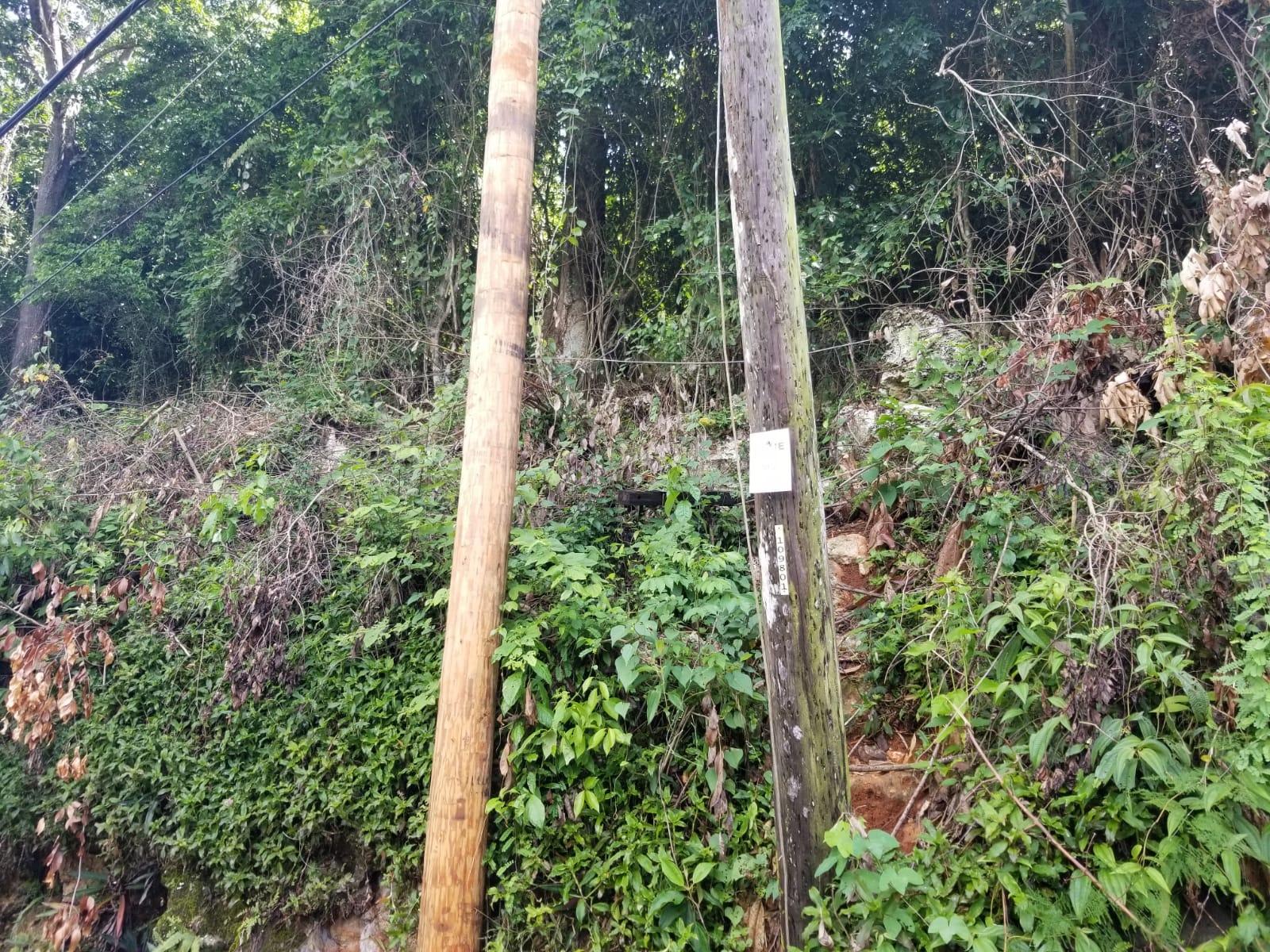 Second image of Lot 38- Kingston 9 in Kingston 9, St. Andrew, Jamaica - property is For Sale