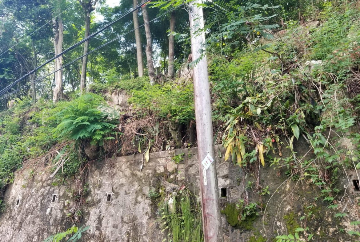 Fourth image of Lot 38- Kingston 9 in Kingston 9, St. Andrew, Jamaica - property is For Sale