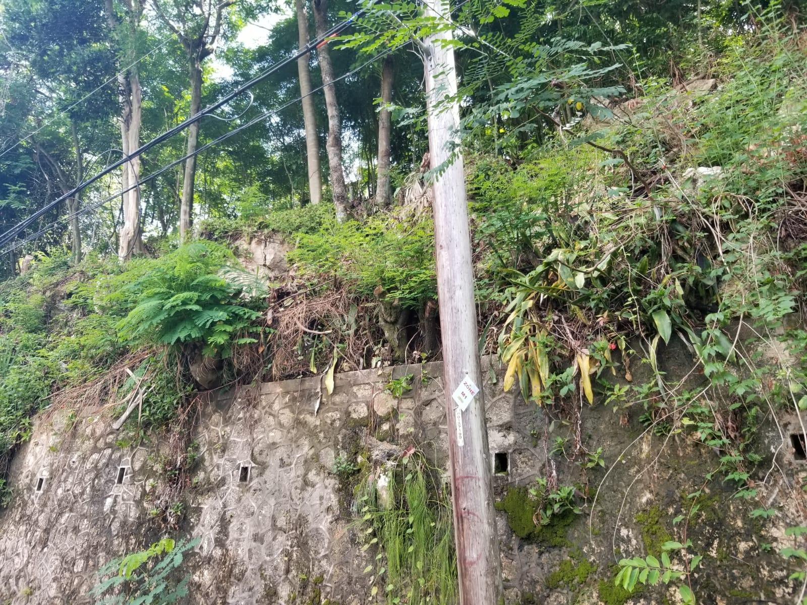 Fourth image of Lot 38- Kingston 9 in Kingston 9, St. Andrew, Jamaica - property is For Sale