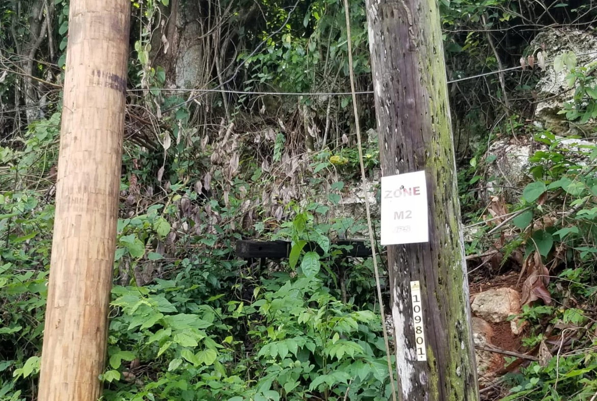 Fifth image of Lot 38- Kingston 9 in Kingston 9, St. Andrew, Jamaica - property is For Sale