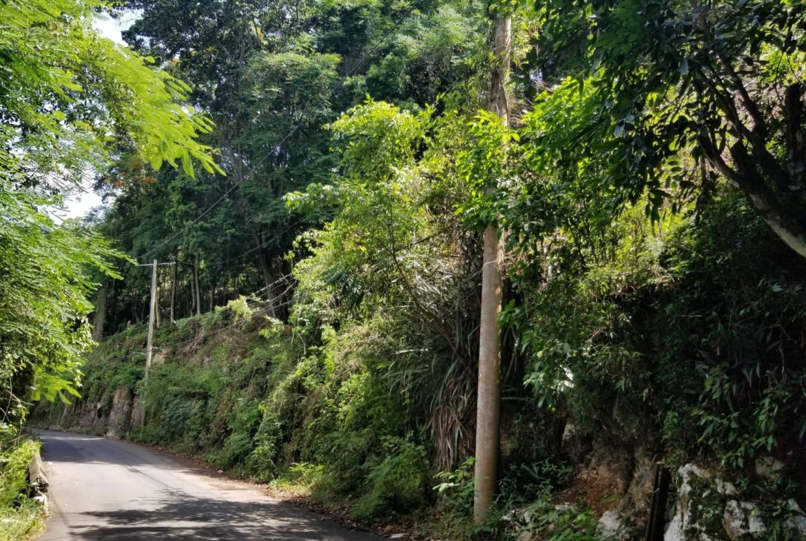 Sixth image of Lot 38- Kingston 9 in Kingston 9, St. Andrew, Jamaica - property is For Sale