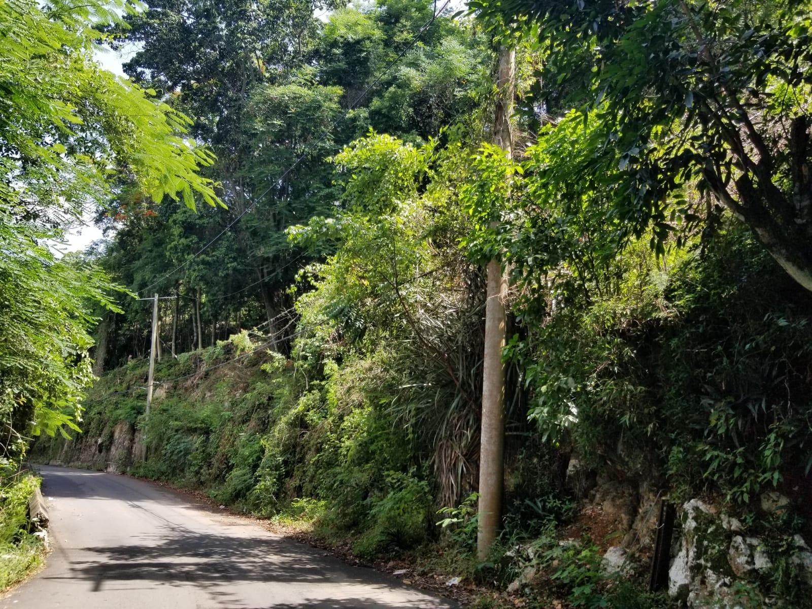 Sixth image of Lot 38- Kingston 9 in Kingston 9, St. Andrew, Jamaica - property is For Sale