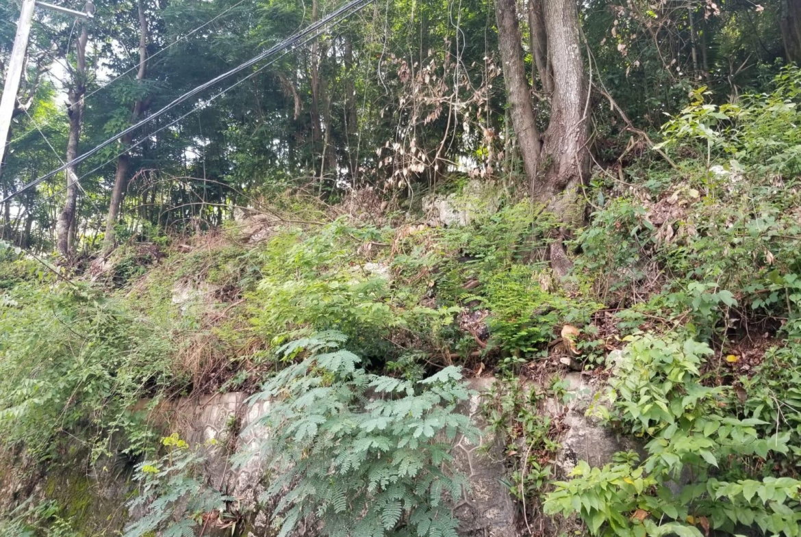 Seventh image of Lot 38- Kingston 9 in Kingston 9, St. Andrew, Jamaica - property is For Sale