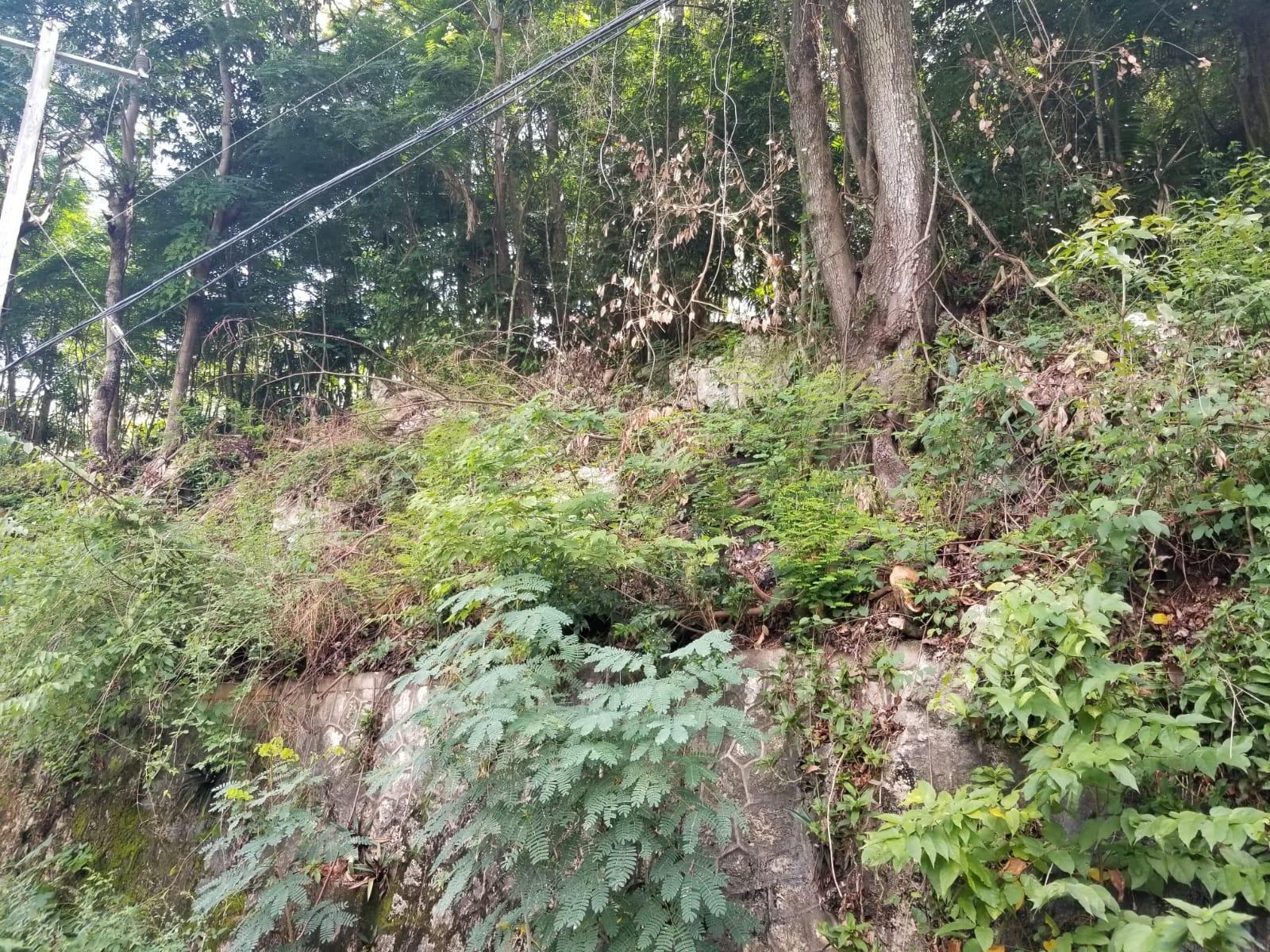 Seventh image of Lot 38- Kingston 9 in Kingston 9, St. Andrew, Jamaica - property is For Sale