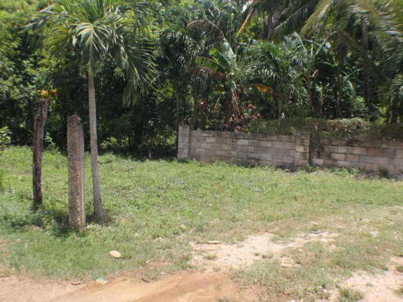 First image of Friendship, Doctor Rock in Santa Cruz, St. Elizabeth, Jamaica - property is For Sale