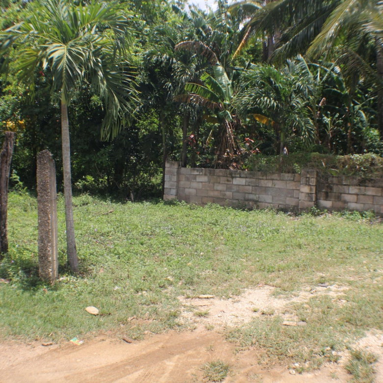 First image of Friendship, Doctor Rock in Santa Cruz, St. Elizabeth, Jamaica - property is For Sale