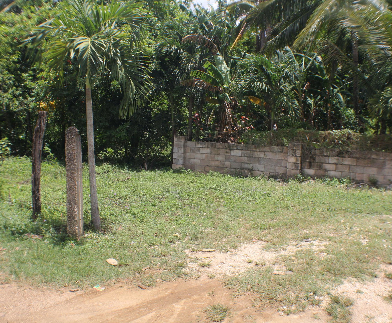 First image of Friendship, Doctor Rock in Santa Cruz, St. Elizabeth, Jamaica - property is For Sale