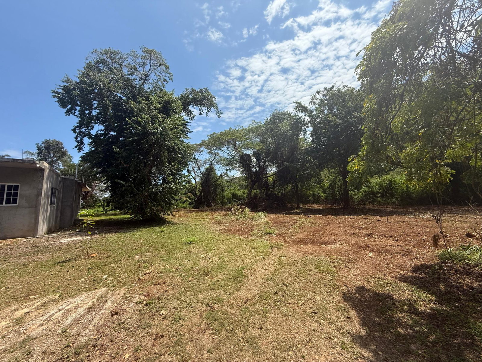 Residential-Lot-for-Sale-in-Duncan-Bay-Trelawny-–-13-Acre-Near-Caribbean-Sea Seventh image of 213 Coconut Close, Duncan’s b in DUNCAN BAY, Trelawny, Jamaica - property is For Sale