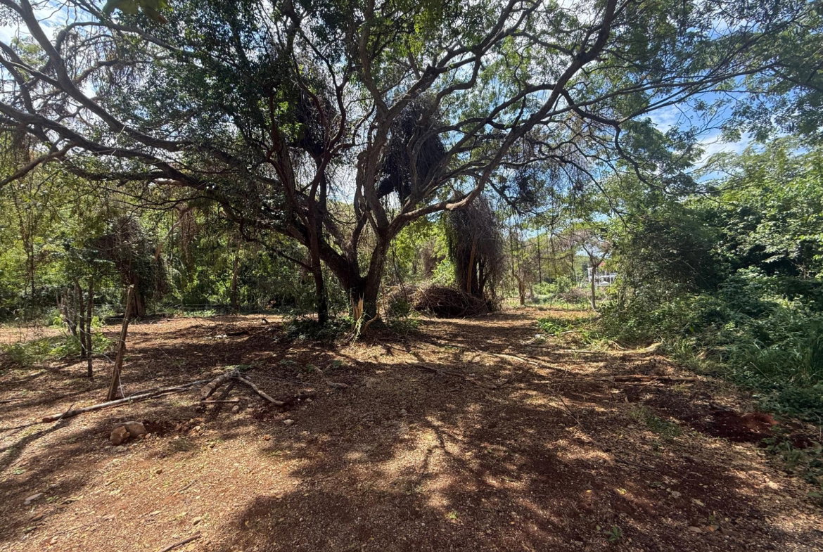 Eighth image of 213 Coconut Close, Duncan’s b in DUNCAN BAY, Trelawny, Jamaica - property is For Sale