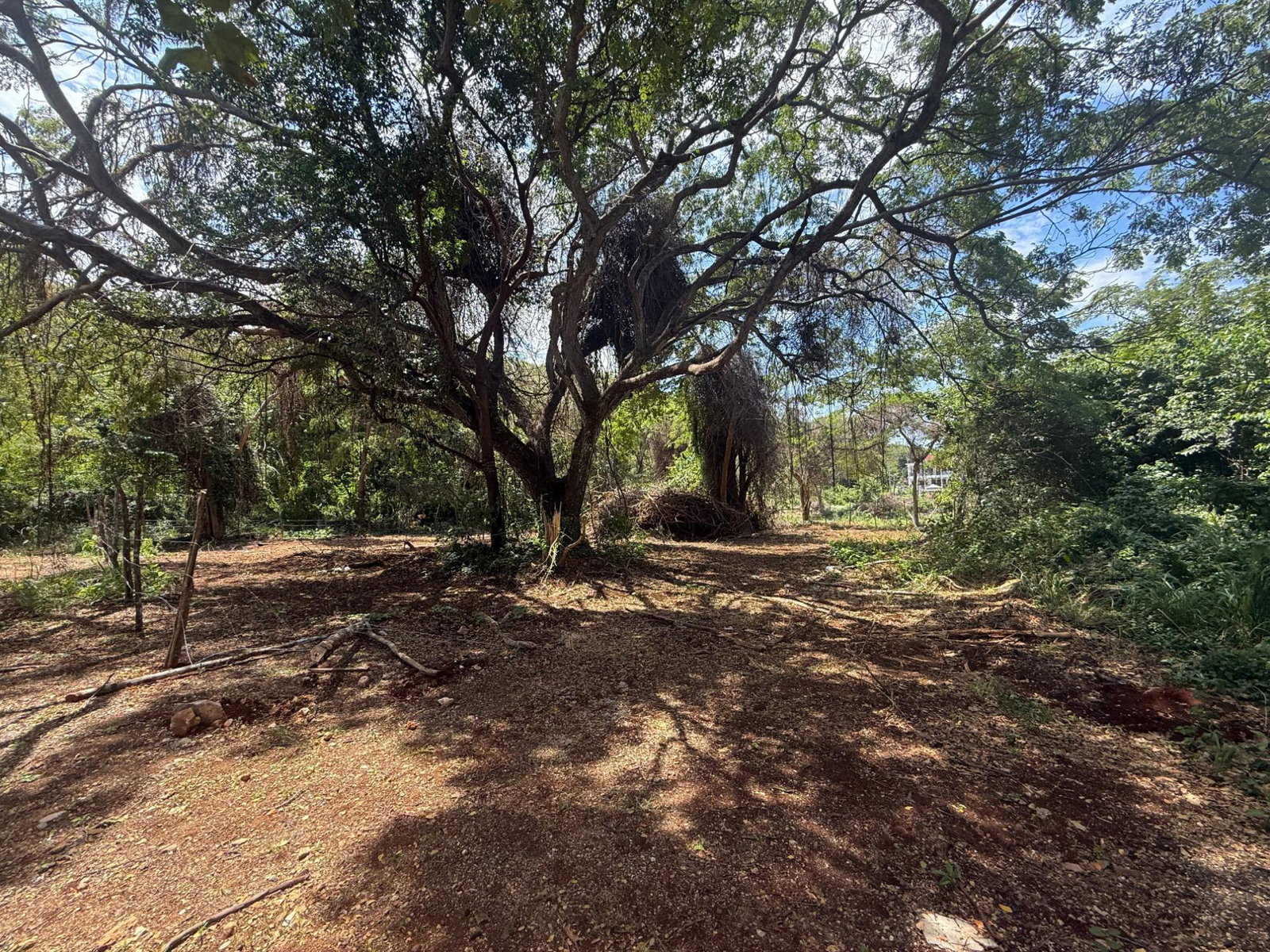 Residential-Lot-for-Sale-in-Duncan-Bay-Trelawny-–-13-Acre-Near-Caribbean-Sea Eighth image of 213 Coconut Close, Duncan’s b in DUNCAN BAY, Trelawny, Jamaica - property is For Sale