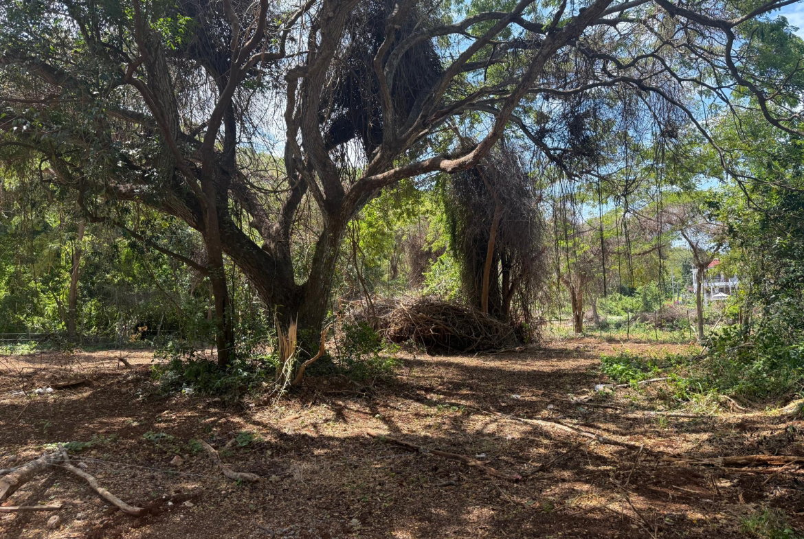 Ninth image of 213 Coconut Close, Duncan’s b in DUNCAN BAY, Trelawny, Jamaica - property is For Sale